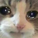 Sad_yr