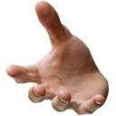 palmL_SF Discord emoji