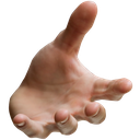palmR_SF Discord emoji