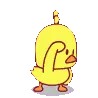 patomaloqueiro