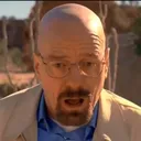 ShockedWalt