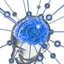 BigBrain