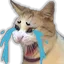 J_CatCri