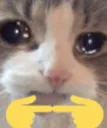 cat6usure Discord Emoji