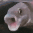 OOOOOOOOOO