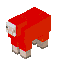 _Jeb