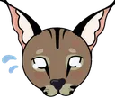 Dfloppasad Dfloppasad