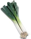 Leekz Leekz
