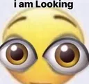 iamlooking iamlooking