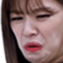 JeongDisgust Discord emoji