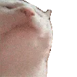 catJam