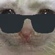 selfdepricatione selfdepricatione