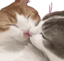 catKiss