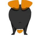 Ping_Parado_Dance