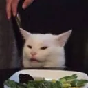 Confused Cat confusedCat Discord Emoji