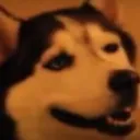 HappinessNoises HappinessNoises