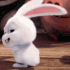 bunnyshakebutt