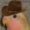 cowboy_birb cowboy_birb