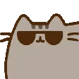 PusheenCool
