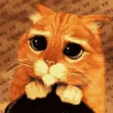 aw_kitty_scared_plead