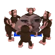 elinaMyQueen