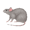 pmsk_005 Discord emoji
