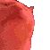 Era_cat_nacho