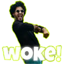 TS_woke