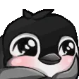 cute