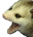 angor