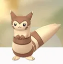 FURRET
