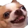 HeHEEYEEEEES