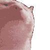 RWFastCatVibe Discord emoji