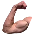 soweqFlex