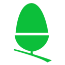 Acorn