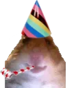 birthdayham