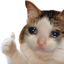 MA38_codm_sadthumbsup Discord emoji