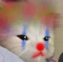 sadclowncatto