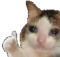 thumpupcat