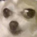 weird_awkward_dog Discord emoji