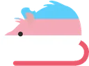 transrat