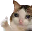 thumbsup