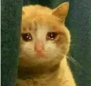 emoji_31