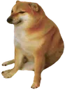 cheems