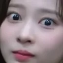 minjuconcern