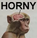 Horny Horny