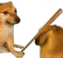 bonk