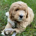 Tucker3