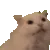 kittyscream