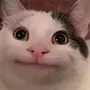 wat_is